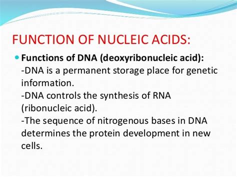 Nucleic acid