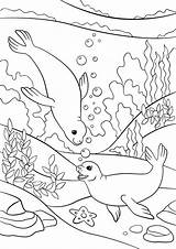 Seal Coloring Sheet Pages sketch template