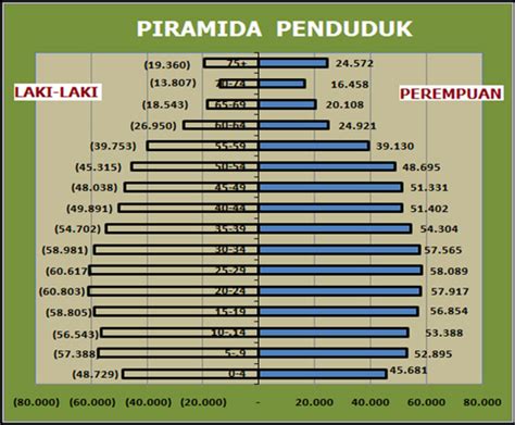 Struktur Usia Penduduk