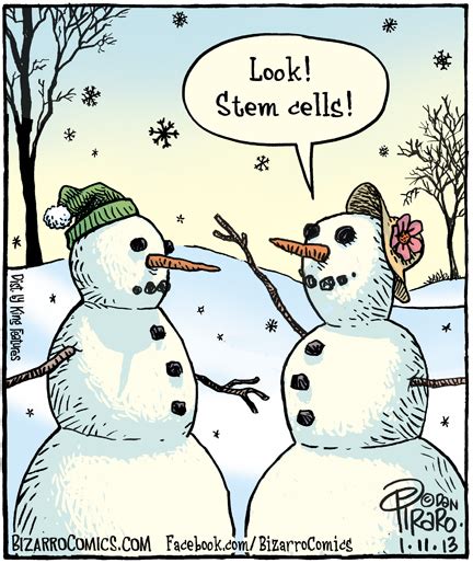 Cartoon Of The Day: Stem Cells - Common Sense Evaluation