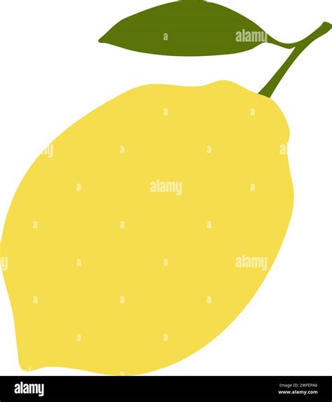 Lemon Vector Illustration Stock Vector Image & Art - Alamy