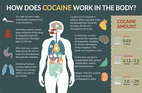 Cocaine: Short And Long Term Effects & Treatment Of Drug Addiction