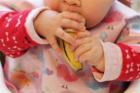 Ultimate Guide to Baby Led Weaning (and Best First Foods)