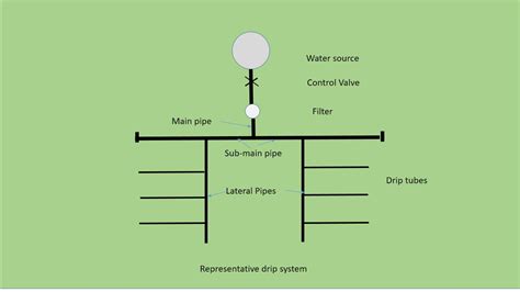 Steps to Drip irrigation system design - MyKnowledgeBase.in