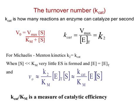 Image result for catalytic efficiency | Biochemistry, Math, Menton