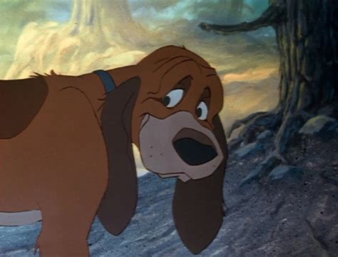 The Fox And The Hound Copper Saves Tod - Hibiscus Tea Benefit