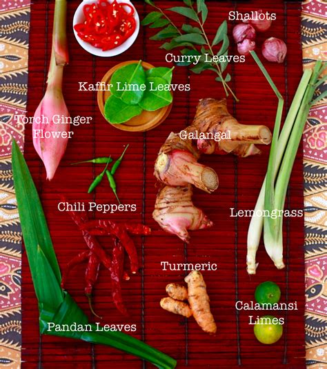 Explore Southeast Asian Spices & Herbs | Season with Spice