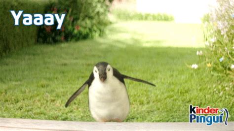 Penguin Jump GIFs - Get the best GIF on GIPHY