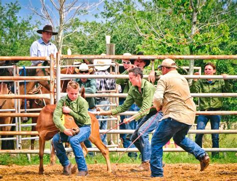 “Calf Roping” by Betty Eich – Lake & Sumter STYLE