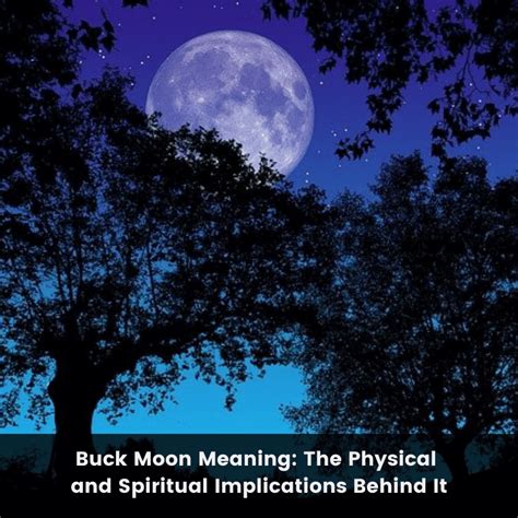 Buck Moon Meaning: The Physical and Spiritual Implications Behind It