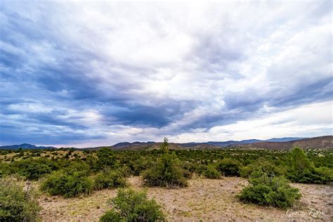 Gonzo Form - Cosmic Campground, New Mexico