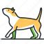 Dog breeds - Highlight icons by Boyko Pictures