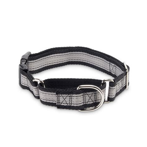 Vibrant Life Control Dog Collar, Gray, Large - Walmart.com