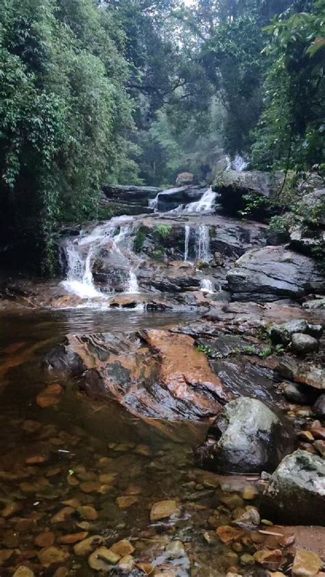 Valparai hidden falls #valparai #waterfalls #india #nature # ...