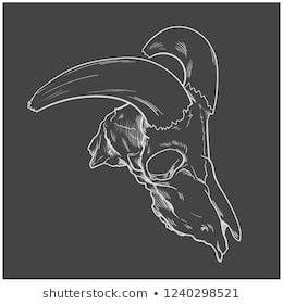 Animal Skeleton Tattoo Art Design Book Stock Vector (Royalty Free) 1240298521 | Shutterstock