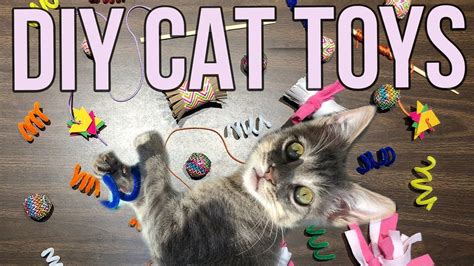 5 Easy Cat Toys Kids Can Make at Home! - ComPetSport