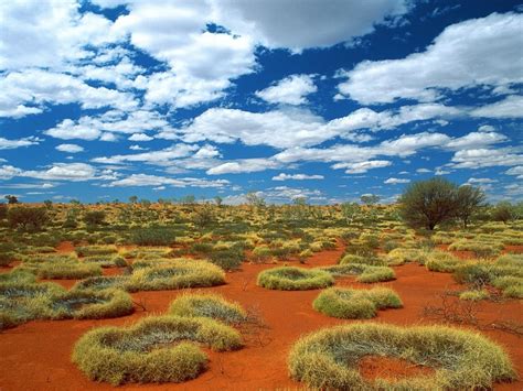 Wallpapers Sols: Australian Outback Wallpaper