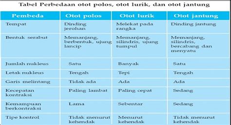 Pengertian, Fungsi, Jenis-jenis dan Mekanisme Gerak Otot pada Manusia