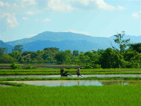 Man Tilling Bukid Farm