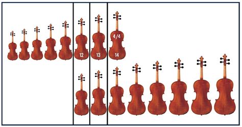 What’s the Difference Between Violin and Viola?