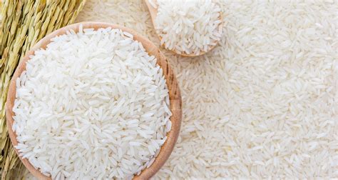 CSIR-Scientists introduce three improved rice varieties to farmers | The Ghana Report