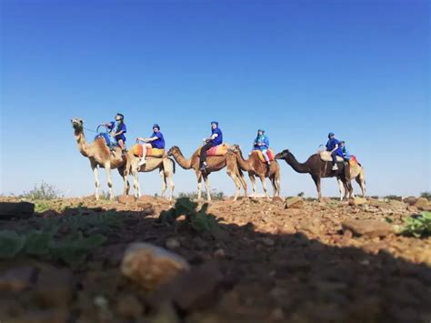 The Best Guide to Camel Trekking in Morocco - Women Wandering Beyond