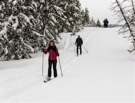 Favorite Cross-Country Ski Trails in Gardiner and Northern Yellowstone - Gardiner, Montana