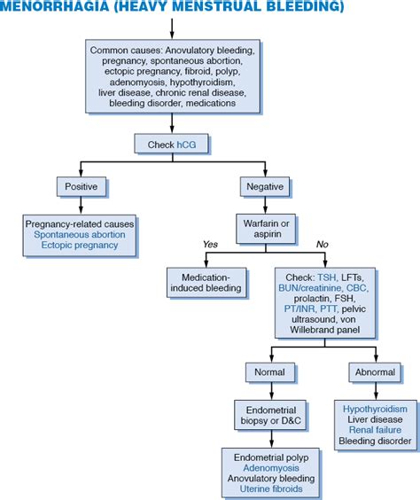 Excessive Menstrual Bleeding or Menorrhagia | MEDCHROME