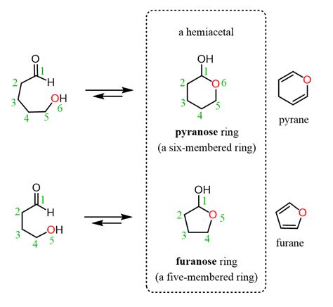 Furanose and Pyranose rings are cyclic hemiacetals of Carbohydrates | Chemistry, Carbohydrates ...