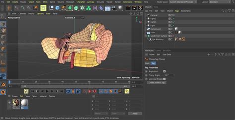 3D model Ear Anatomy Cross Section VR / AR / low-poly | CGTrader