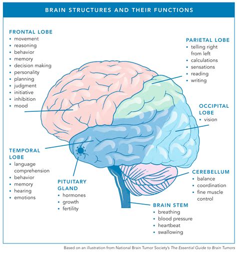 Signs & Symptoms