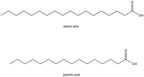 42 saturated fatty acid diagram - Wiring Diagram Images