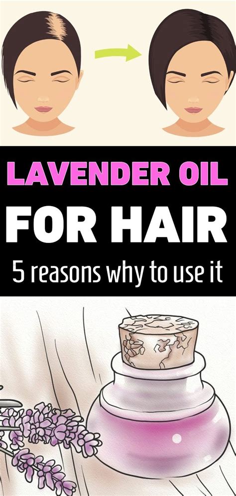 Lavender Oil For Hair – 5 Reasons Why To Use It | Lavender oil for hair, Lavender essential oil ...