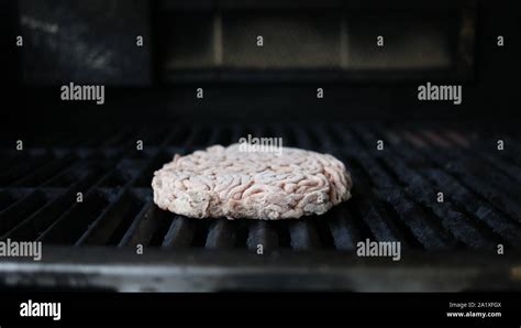 Frozen Hamburger Patties on the Grill. Frozen Hamburger Patties Cooking on the Grill Stock Photo ...