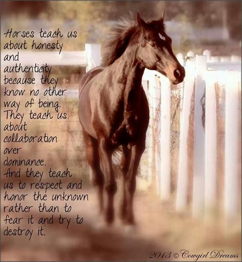 Horse Lovers Quotes. QuotesGram