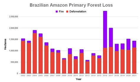 Amazon Rainforest Deforestation Graph