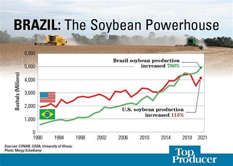 Brazil: The Soybean Powerhouse | AgWeb