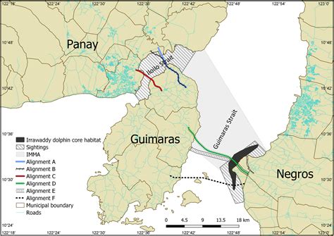 Critically Endangered subpopulation of Irrawaddy dolphin in central Philippines may lose its ...