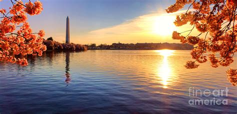 Sunrise on the Tidal Basin Photograph by Olivier Le Queinec - Fine Art America