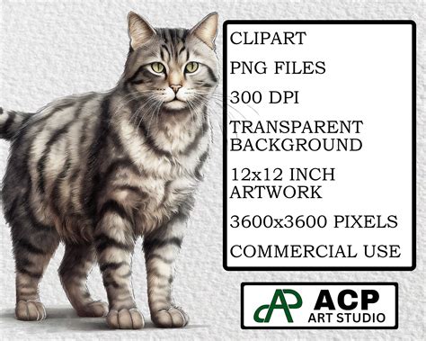 Tabby Cat Clipart, Tabby Cat PNG, Watercolor Tabby Cat Clip Art ...