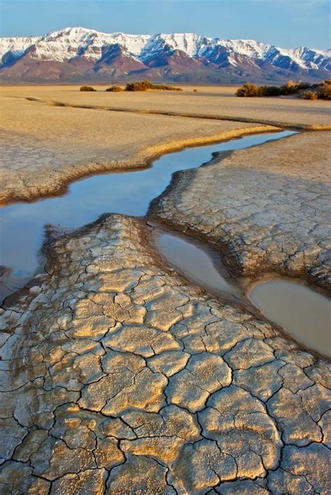 Alvord Desert and Steens Mountain, Southeastern Oregon | Oregon travel, Nature, Eastern oregon