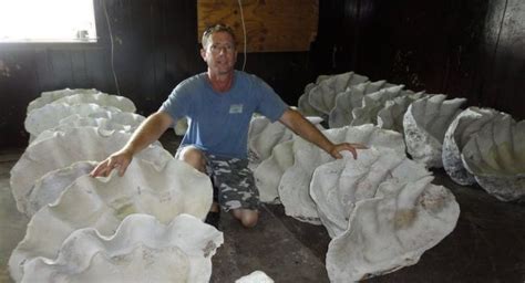 Giant Clam Shells – Tampa Bay Salvage | Giant clam shell, Giant clam, Clams