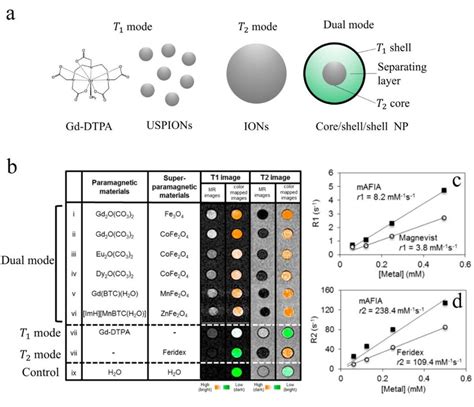 (a) Schematic view of MRI contrast agents. (b) MRI images and their... | Download Scientific Diagram