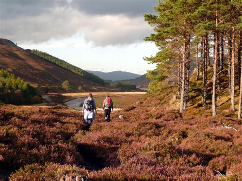 Autumn in the Cairngorms - a celebration of hiking and photography