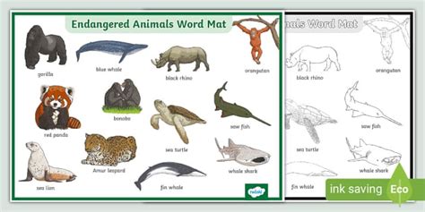 Endangered Animals Word Mat (teacher made) - Twinkl