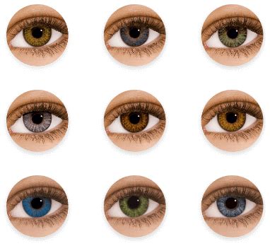 Prescription Coloured Contact Lenses | Specsavers UK