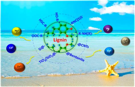 Application of Lignin and Its Derivatives in Adsorption of Heavy Metal Ions in Water: A Review ...