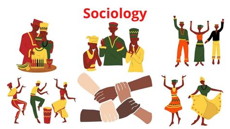 What is Sociology - Definition and Overview - Research Method