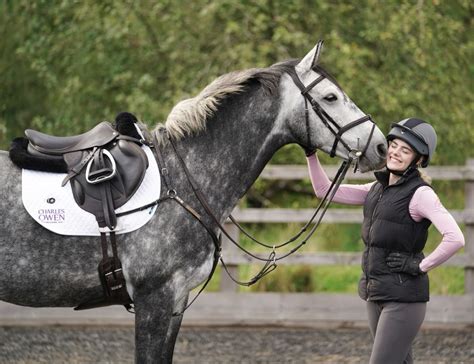 Dapple Grey Warmblood x TB | Dapple grey horses, Grey horse, Horse ...