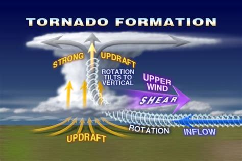 Life Cycle - Natural Disaster